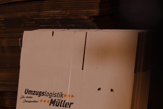Günstiger Behördenumzug Neukirch/Lausitz