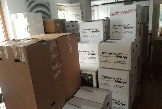 Labor Umzug preise erfahren in Neukirch/Lausitz